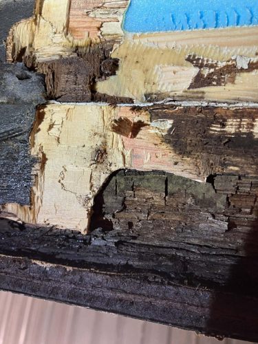 att.PtKcAOLXGlEeBN1dugg7RrG6E95XONaIZYKx7DZXqXY